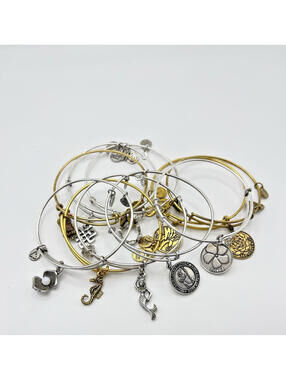 Alex and Ani Expandable Adjustable Wire Bracelet Charms 10 pc Gold Silver Tone